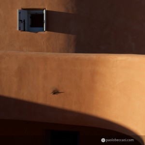 Sardinia:Villas by Fuksas in Is Molas - detail with flying bird